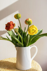 Yellow red tulip flowers with green stems and leaves in a white ceramic pitcher on a light shadow white wall and window background. Creative floral botany wallpaper. Minimal creative greeting card.