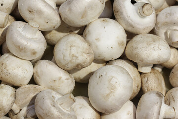 White champion mushrooms at the farmers' market. Not washed mushrooms.