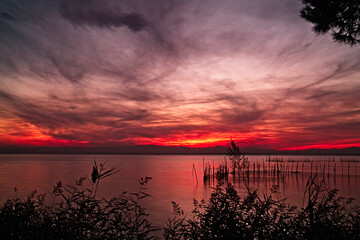 albufera atardecer