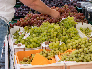Frische Weintrauben auf dem Markt
