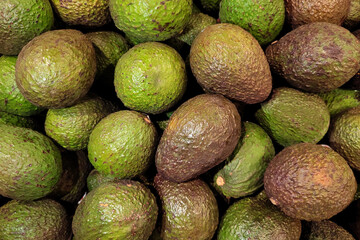 Avocado background. Fresh ripe green avocado display on market stall.
