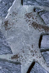 Layered flat stone background with broken pieces of granite plate, dry lavender fragrant flowers....