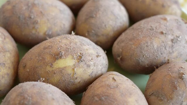 Close up view full hd stock video footage of fresh organic spring potatoes isolated on green plate. Dirty unpeeled raw potatoes 4k video background