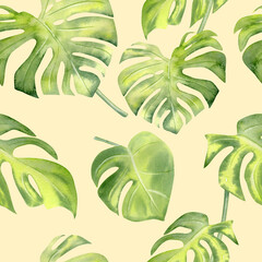 Fototapeta na wymiar Watercolor tropical leaves monstera seamless pattern.