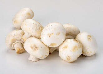 Fresh champignons isolated on gray background. side view. champignons healthy and tasty mushrooms. Champignon mushrooms close-up