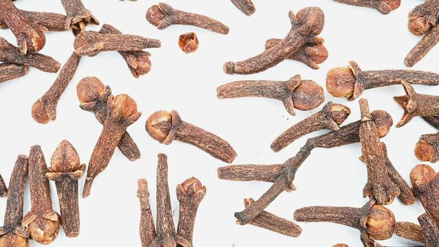 top view herb DingXiang or Caryophylli Flos or Clove rotating