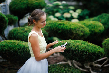 Beautiful woman girl in a dress with garden scissors cuts juniper, horticultural and topiary lawn,...