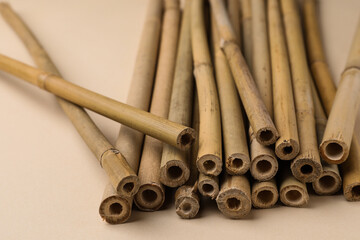 Dry bamboo sticks on beige background, closeup