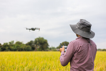 Asian farmer using drone flying navigating above farmland rice field. A young farmer controls a drone in a large scale survey of tenderly touching a young rice in the agricultural plots