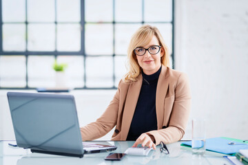 Obraz na płótnie Canvas Smiling businesswoman working on a laptop at office desk