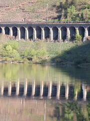 Viadukte an der Mosel, Rheinland-Pfalz - Deutschland