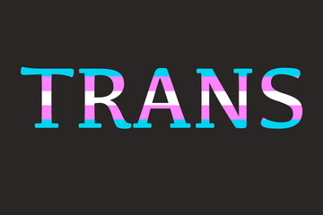 Illustration of the trans flag inside the letters