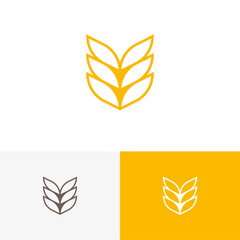 Modern lined wheat grain logo vector design concept. Agriculture farm company brand logomark illustration template. Representing organic, health, bread, cereal, plant, seed, vegan, food, harvest.