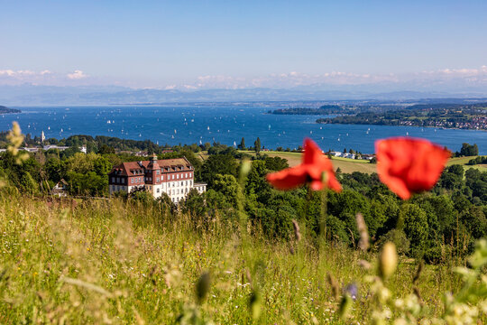 Germany, Baden-Wurttemberg, Uberlingen, Salem International College and Lake Constance seen from Hodinger Hohe in summer