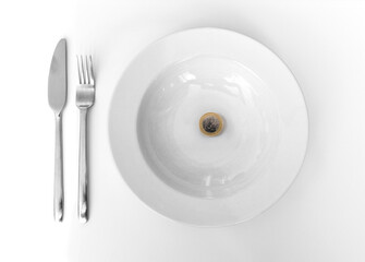 Hunger, empty plate with euro coin expensive food
