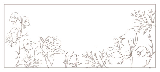 Botanical illustration. Aconitum line art