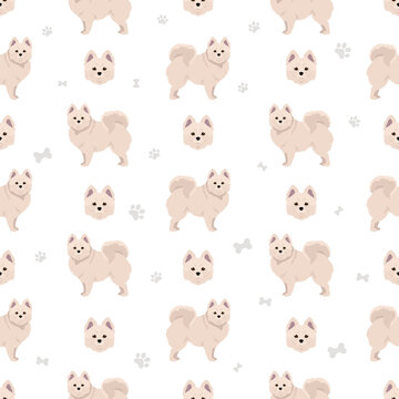 Volpino Italiano seamless pattern. Different poses, coat colors set