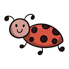 Obraz premium Cute bug, red ladybug, insect, cartoon vector illustration