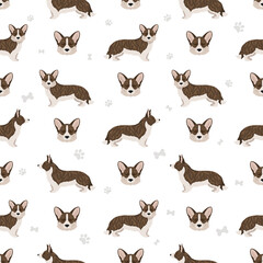 Welsh corgi cardigan seamless pattern. Different poses, coat colors set