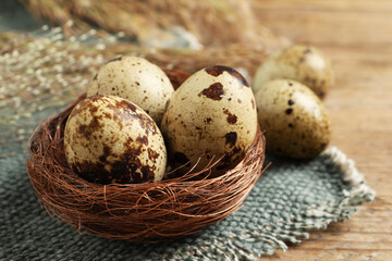 Obraz premium Nest with quail eggs on wooden table, closeup