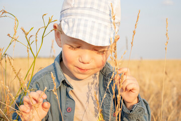  smiling little boy in wheat field at sunset.