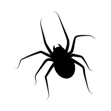 Spider icon design template ilustration vector