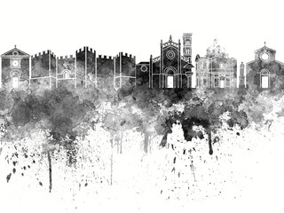 Fototapeta premium Prato skyline in black watercolor