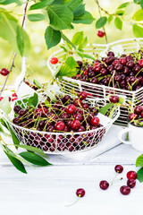 Freshly gathered juicy red cherries  in white metal containers closeup , berries cherries outdoors, in garden on white wooden table background