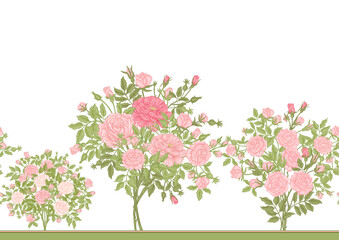 Roses flowers on branches. Millefleurs trendy floral design. Seamless border pattern, linear ornament, ribbon Vector illustration. Isolated on white background.