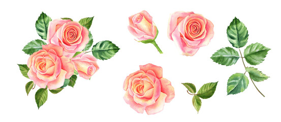 Naklejka premium Lavender flowers, watercolor illustration, isolated white background
