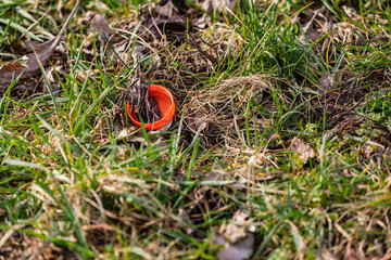 An orange plastic cap in a meadow is polluting nature and environment