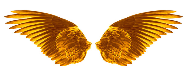 golden color wings on a white,isolated