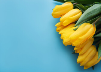 Ukraine flag colors in tulip flower