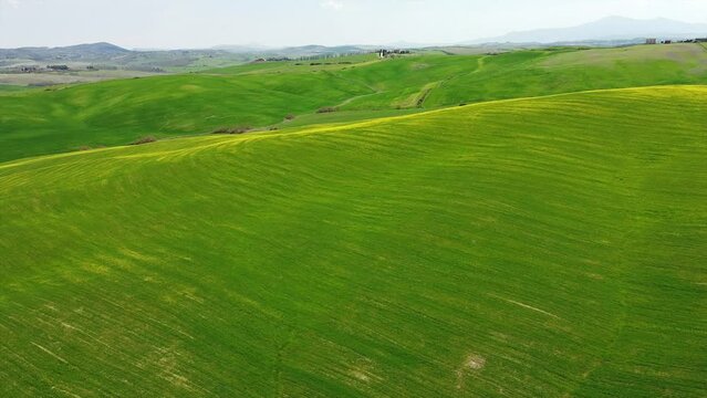 Europe, Italy , April 2022 - Drone aerial view of  Tuscany countryside  landscape in Asciano , Val D'orcia , Siena -  Crete Senesi touristic attraction - green hill with yellow flowers and blue sky 