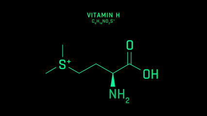 Vitamin U or Methylmethionine Skeletal Formula or Molecular Structure Symbol  on black background