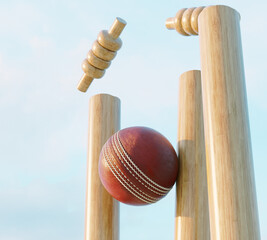 Cricket Wicket Stumps - obrazy, fototapety, plakaty