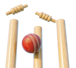 Cricket Wicket Stumps