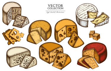 Cheese vintage illustrations collection. Hand drawn logo designs with brie, gouda cheese, roquefort, etc.