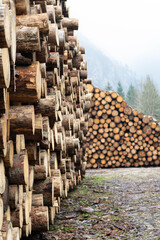 Huge piles of large debarked spruce tree trunks in lumber yard