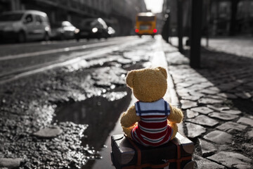 To Late for Departed Bus / Little teddy bear tourist at city sit on his suitcase on curbside and look after the missed bus (copy space) - 500883263