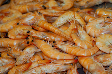 a lot of boiled orange-colored whole shrimp. side view.  seafood. omega-3