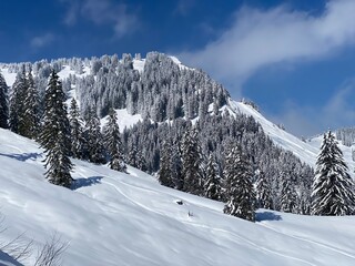 Fototapeta premium Fairytale alpine winter atmosphere and snow-capped alpine peak Stockberg (1781 m) in the Alpstein mountain massif, Nesslau - Obertoggenburg region, Switzerland (Schweiz)