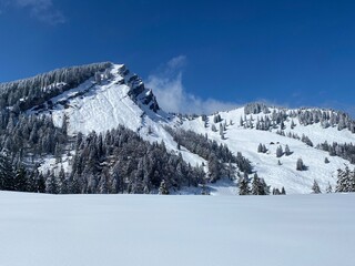Fototapeta premium Fairytale alpine winter atmosphere and snow-capped alpine peak Stockberg (1781 m) in the Alpstein mountain massif, Nesslau - Obertoggenburg region, Switzerland (Schweiz)