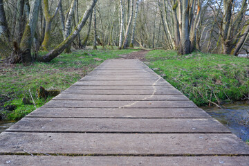 outdoor natural landscape with empty trail between trees through wooden bridge. Small wooden bridge in a forest in early spring