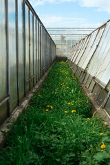 gew&auml;chshaus rundgang