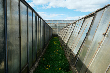 gew&auml;chshaus rundgang