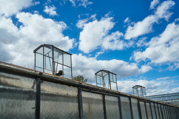 gew&auml;chshaus rundgang