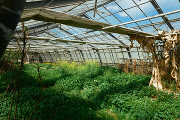 gew&auml;chshaus rundgang