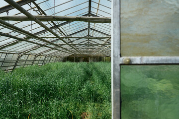 gew&auml;chshaus rundgang