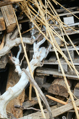 gew&auml;chshaus rundgang